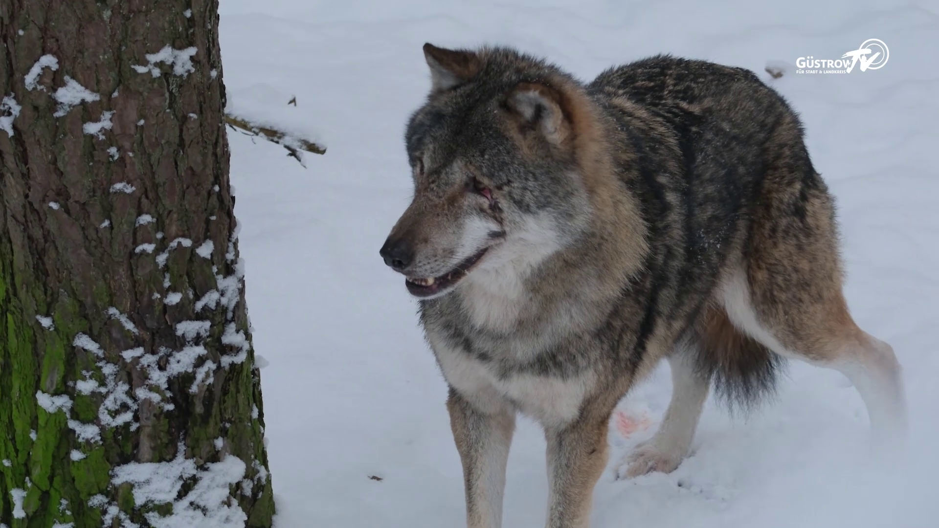 Lokal kompakt vom 26.01.2026