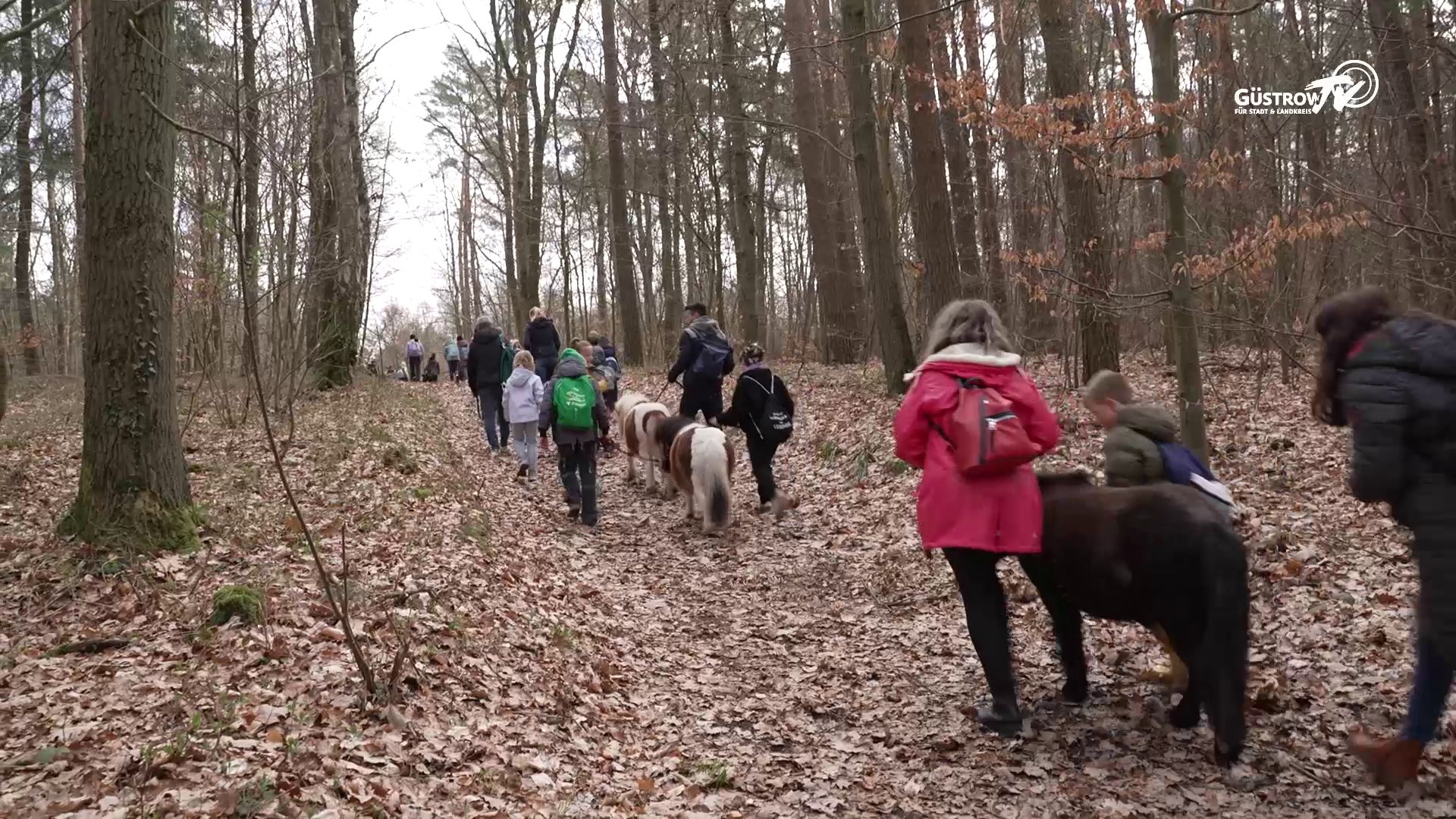 Lokal kompakt vom 08.04.2026