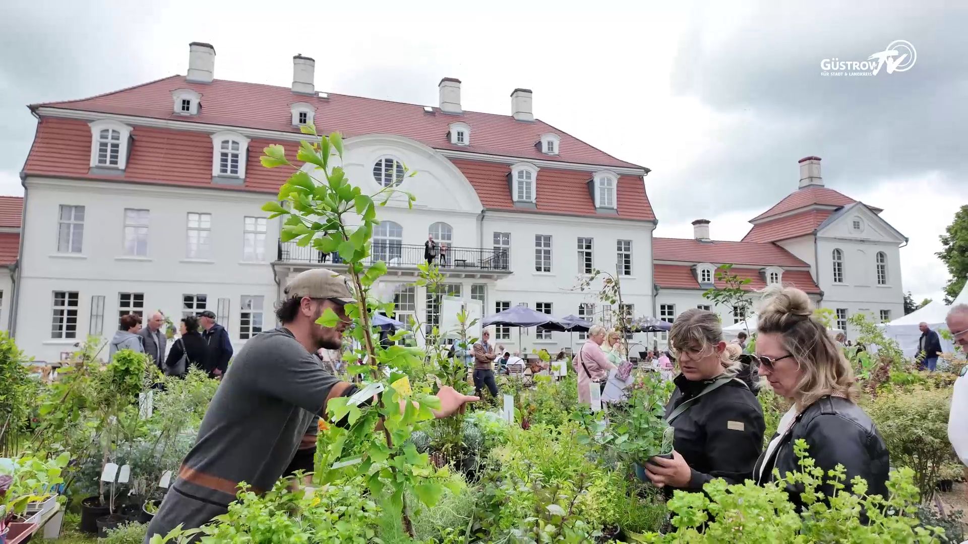 Lokal kompakt vom 11.06.2026