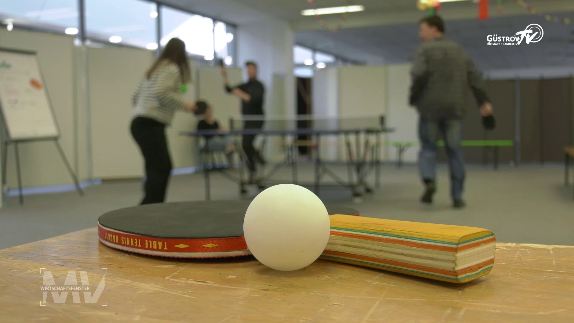 Wirtschaftsfenster MV